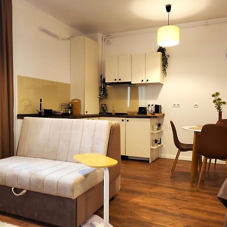 Garden City Studio Sibiu Extérieur photo