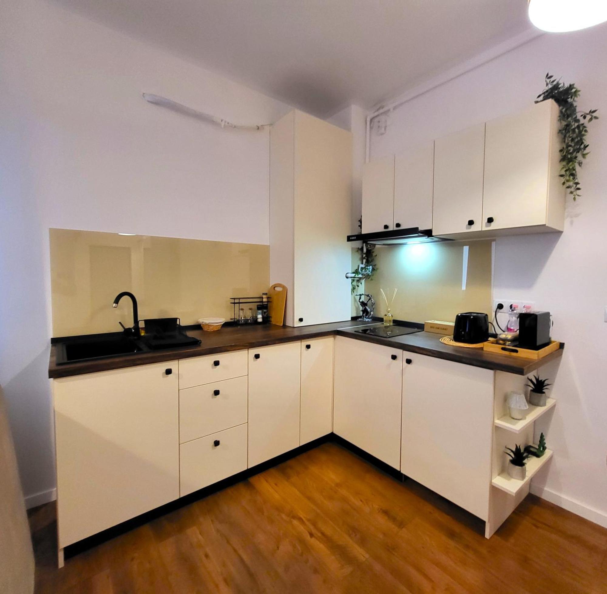 Garden City Studio Sibiu Extérieur photo